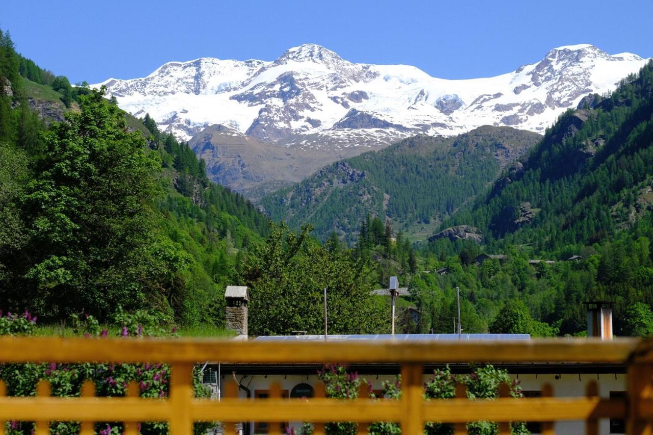 Tedaldi